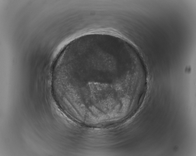 X0000114161506200911051453