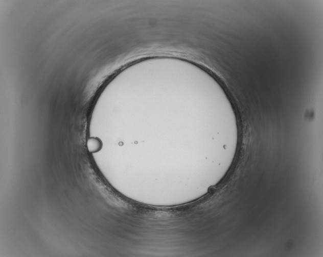 X0000114161507200911051453