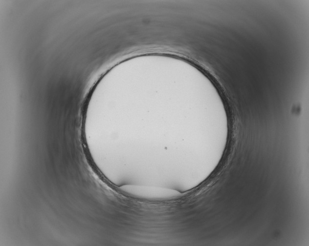 X0000114161508200911051453