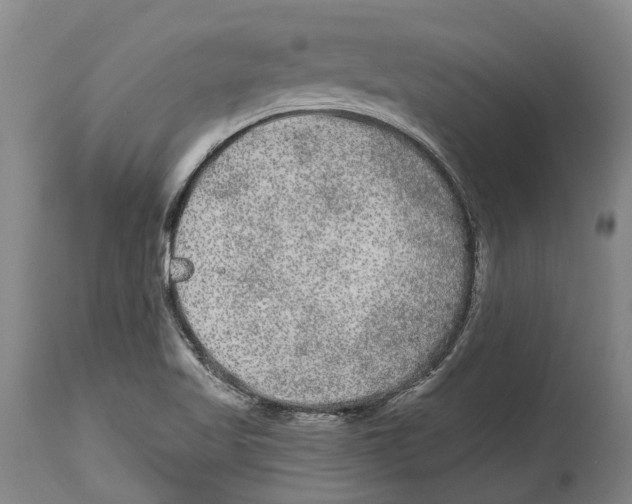 X0000114161509200911051453