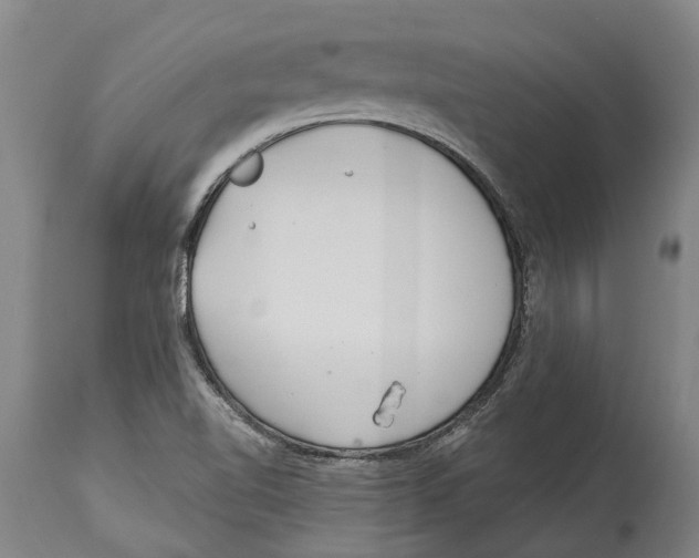 X0000114161510200911051453