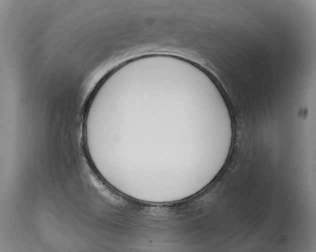 X0000114161511200911051453