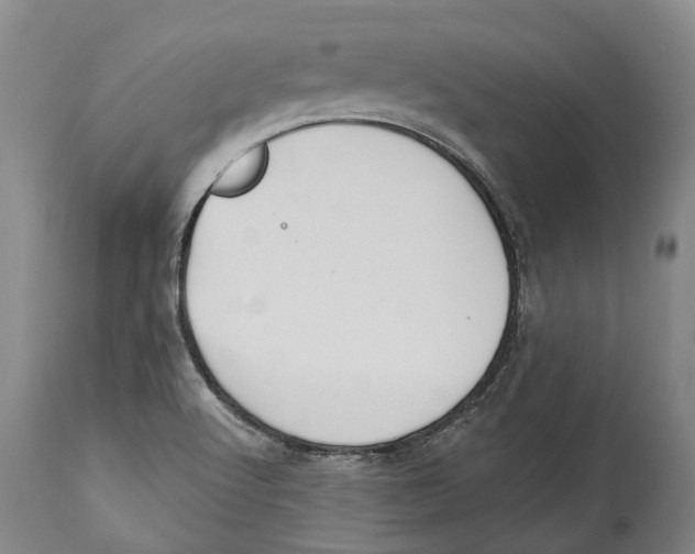 X0000114161512200911051453