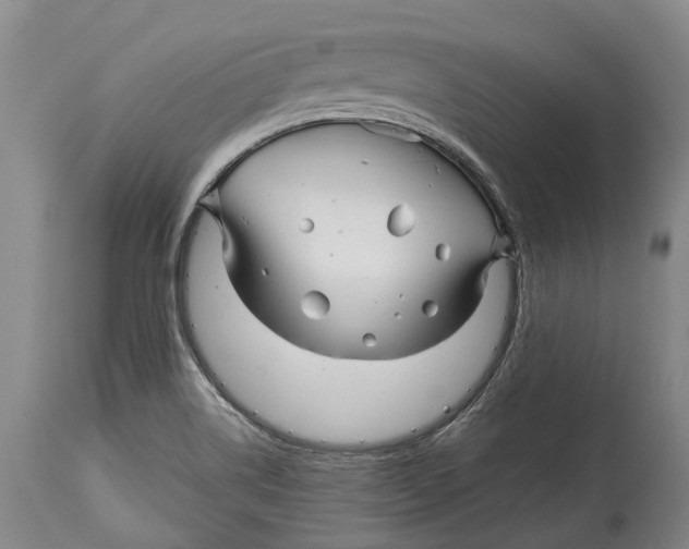 X0000114161514200911051453