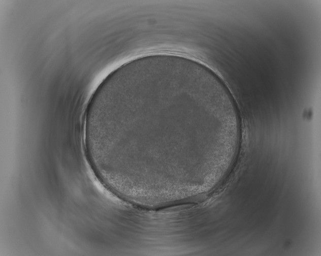 X0000114161515200911051453