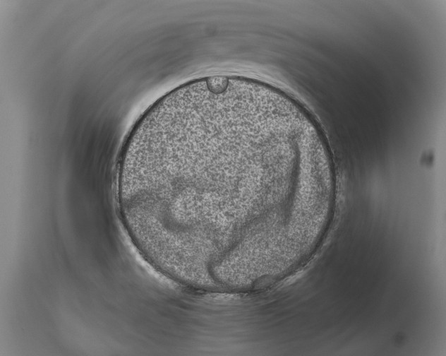 X0000114161517200911051453