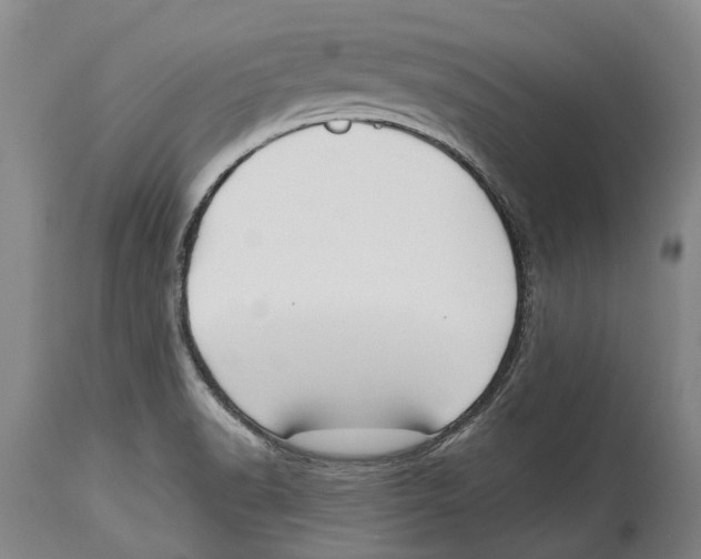 X0000114161518200911051453