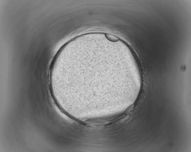 X0000114161519200911051453