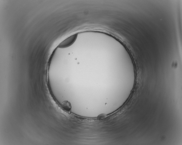 X0000114161520200911051453