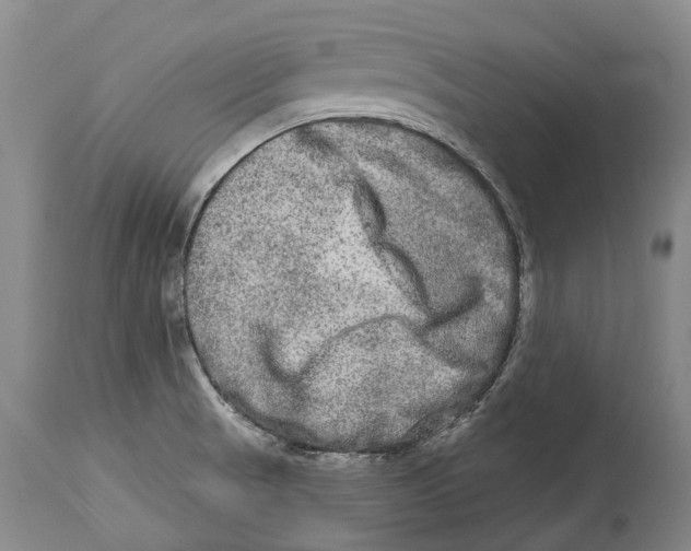 X0000114161521200911051453