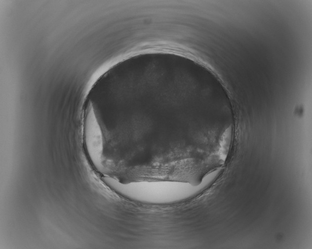 X0000114161522200911051453