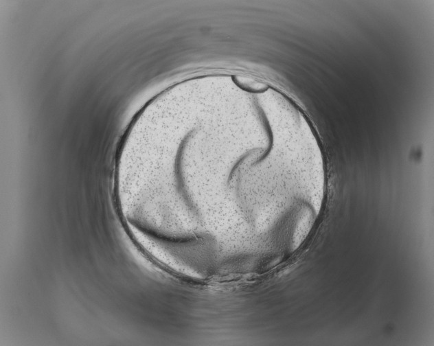 X0000114161523200911051453