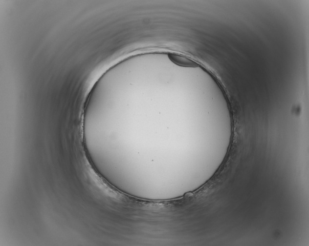 X0000114161524200911051453