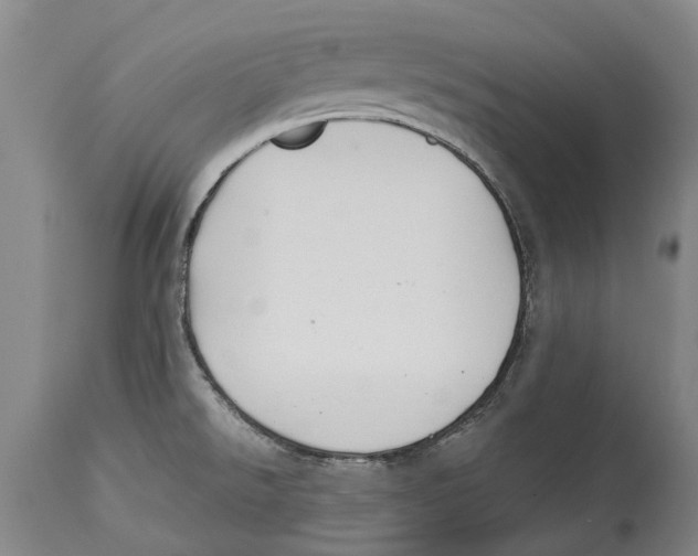 X0000114161526200911051453