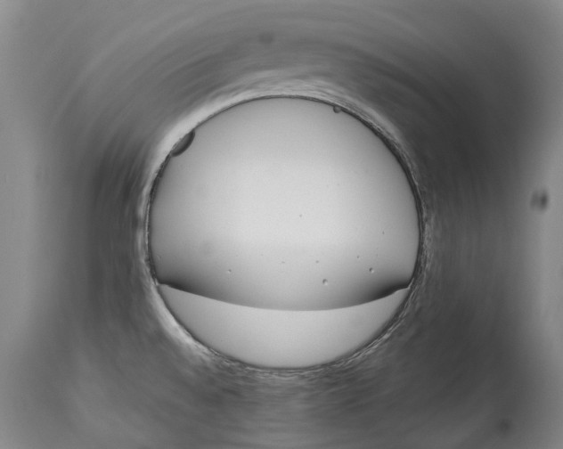 X0000114161528200911051453