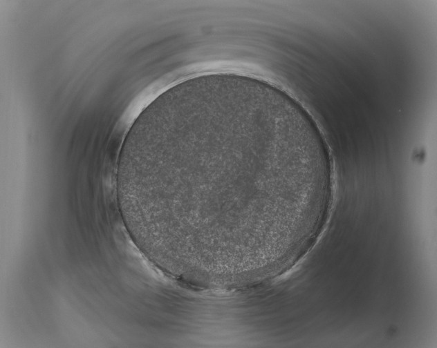 X0000114161529200911051453