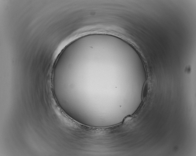 X0000114161530200911051453