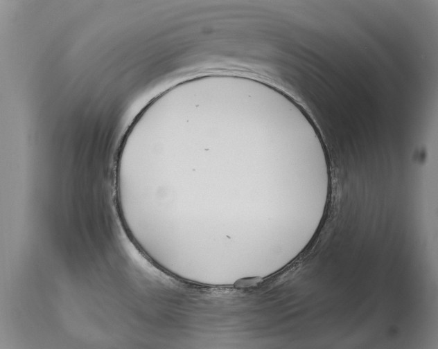 X0000114161531200911051453