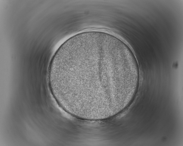 X0000114161533200911051453