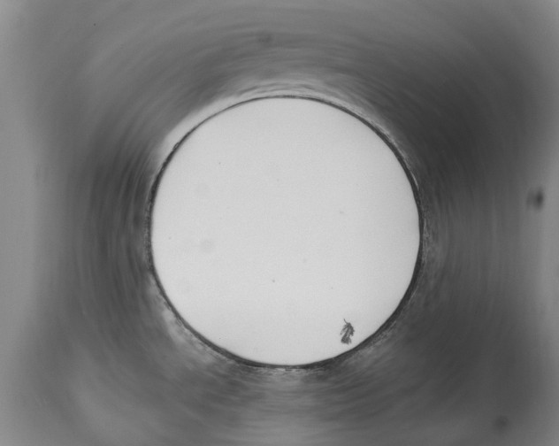 X0000114161534200911051453