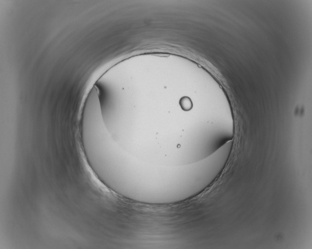 X0000114161536200911051453