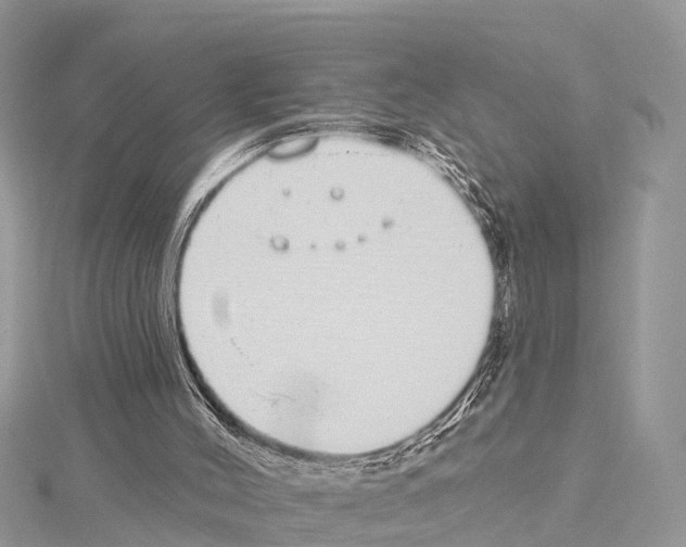 X0000114160004200911191235