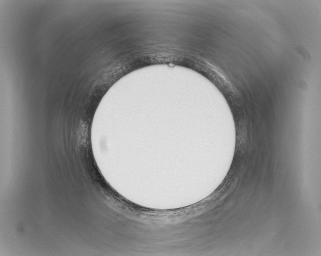 X0000114160025200911191235