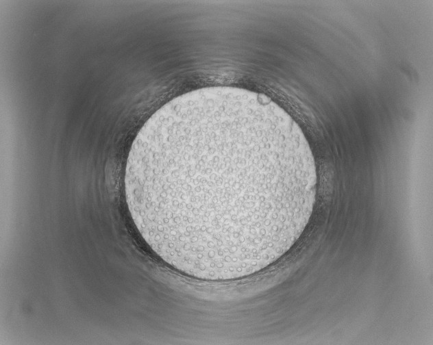 X0000114160030200911191235