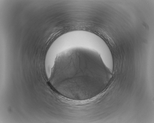 X0000114160035200911191235