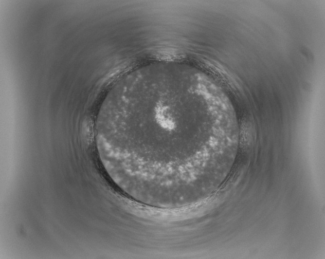 X0000114160043200911191235