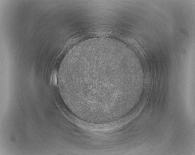 X0000114160046200911191235