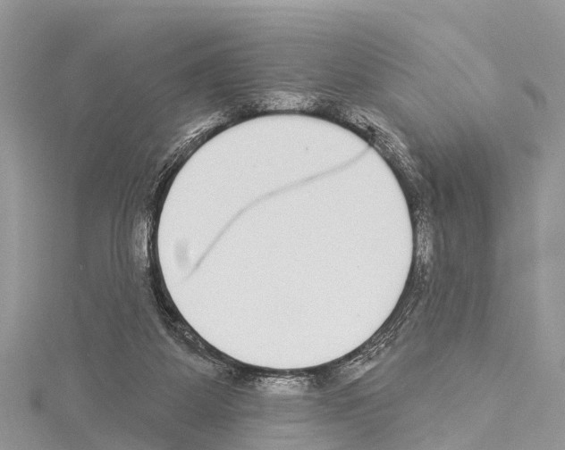 X0000114160115200911191234
