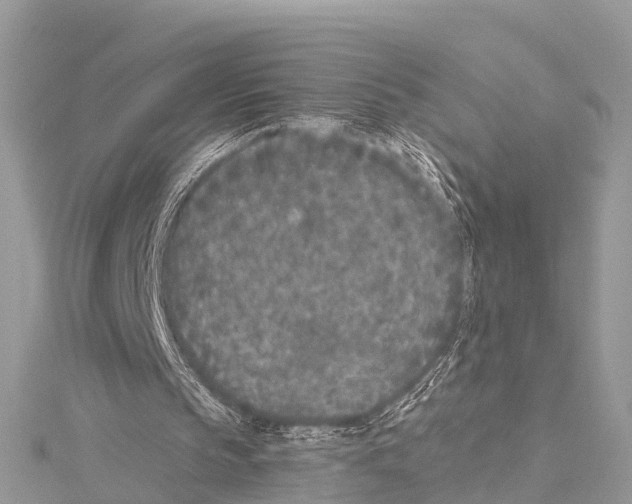 X0000114160145200911191233