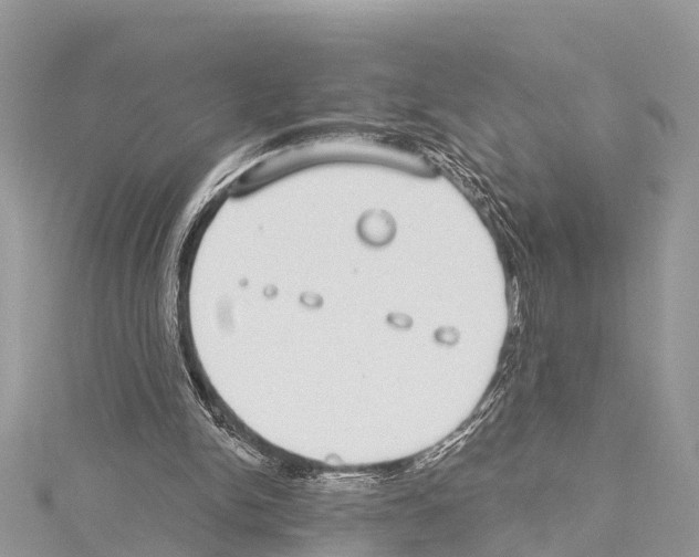 X0000114160150200911191233