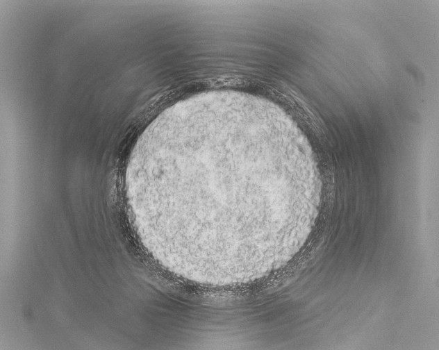 X0000114160169200911191233