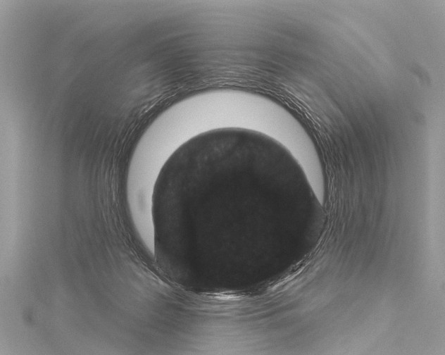X0000114160219200911191232