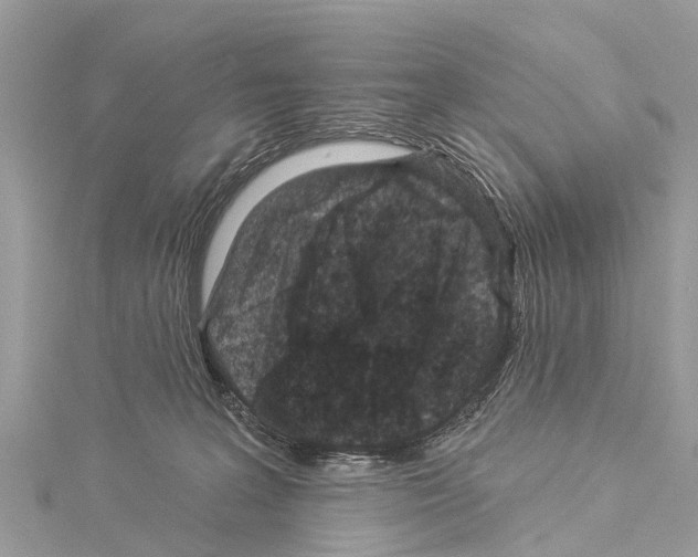 X0000114160227200911191232