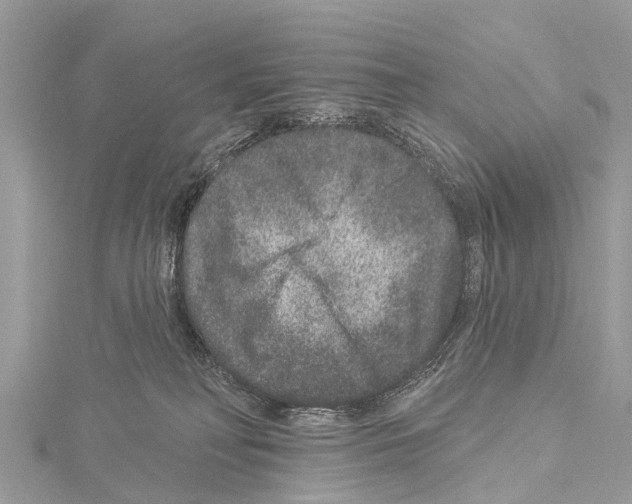 X0000114160230200911191232