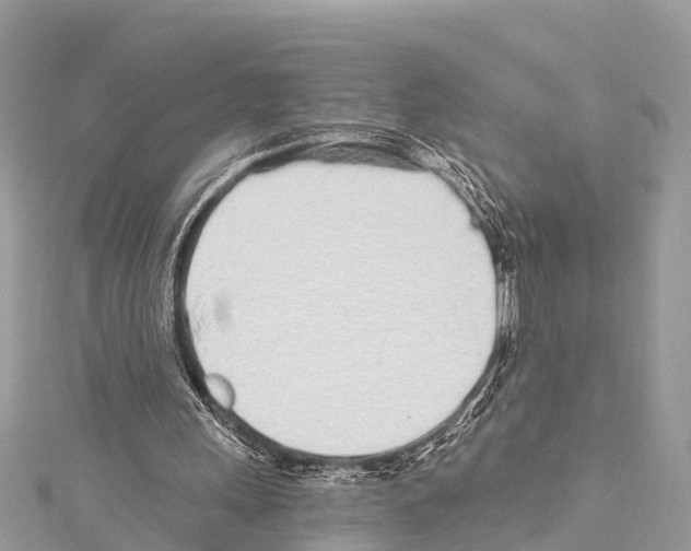 X0000114160243200911191231