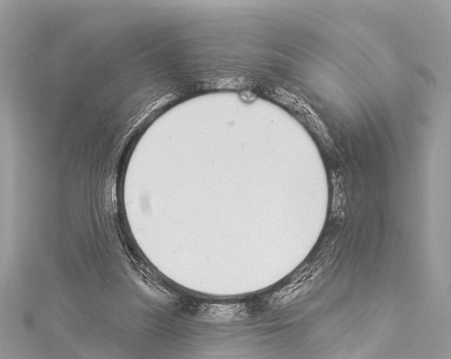 X0000114160251200911191231