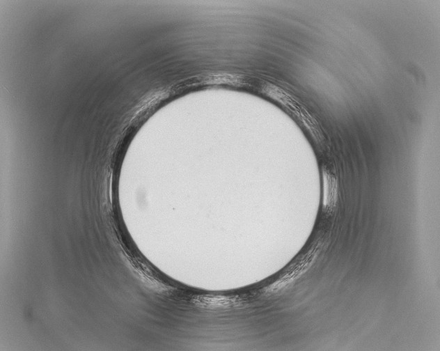 X0000114160253200911191231
