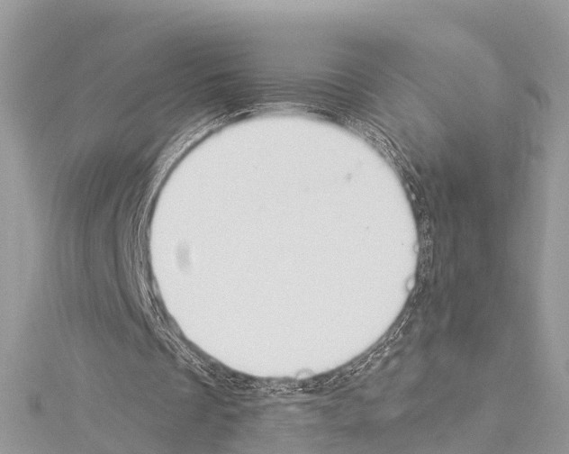 X0000114160289200911191231