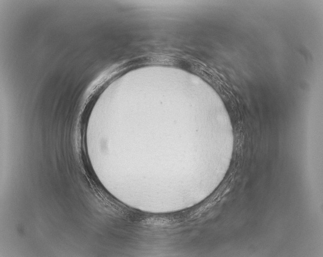 X0000114160294200911191231