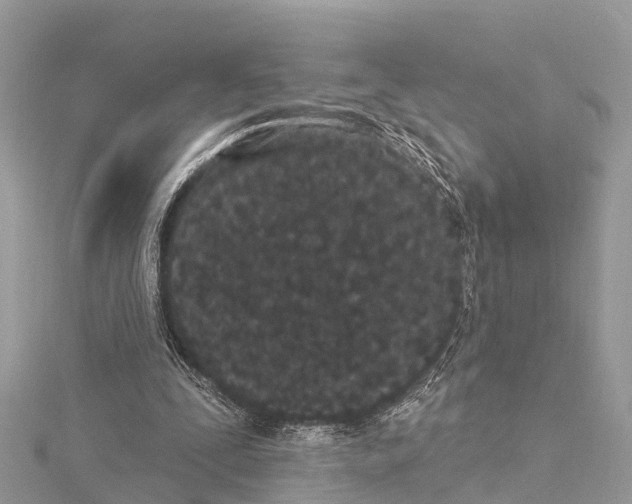 X0000114160295200911191231
