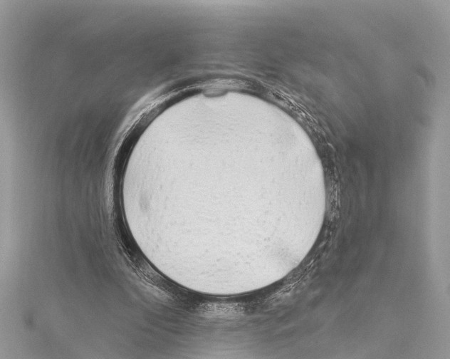 X0000114160296200911191231