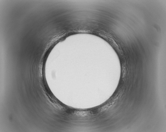X0000114160299200911191231
