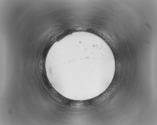 X0000114160325200911191231