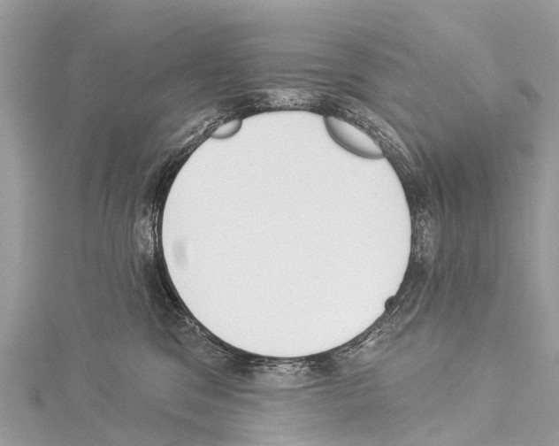 X0000114160329200911191231