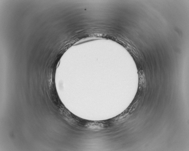 X0000114160331200911191231