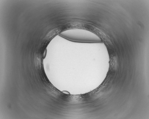X0000114160333200911191231